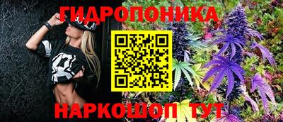 индика Аша