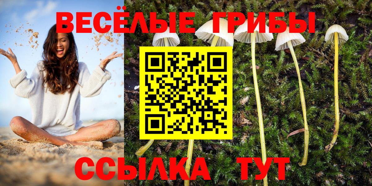 Галлюциногенные грибы Magic Shrooms  Вход с VPN  Горно-Алтайск 
